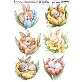 KST200 Koyu Zemin Sulu Transfer Kağıdı (25x35)