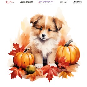 KT127 Kumaş Transfer Kağıdı (20x20)