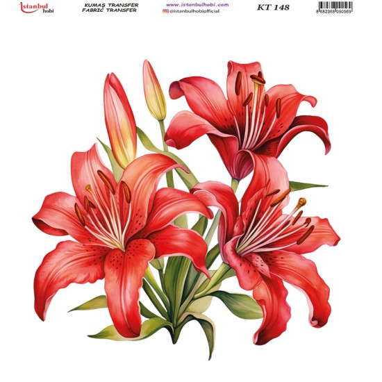 KT148 Kumaş Transfer Kağıdı (20x20)