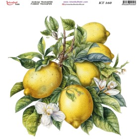 KT160 Kumaş Transfer Kağıdı (20x20)