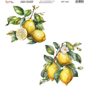 KT161 Kumaş Transfer Kağıdı (20x20)