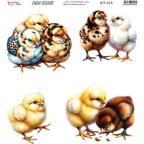 KT215 Kumaş Transfer Kağıdı (20x20)