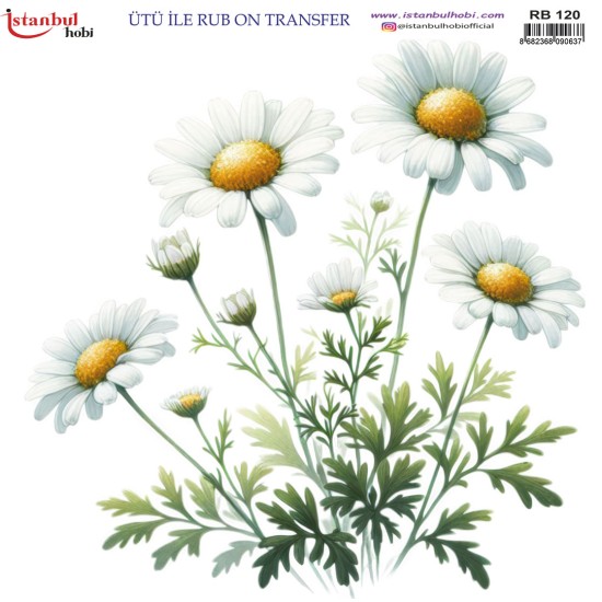 RB120 Rub On Transfer Kağıdı 30x30 (Ütü İle)
