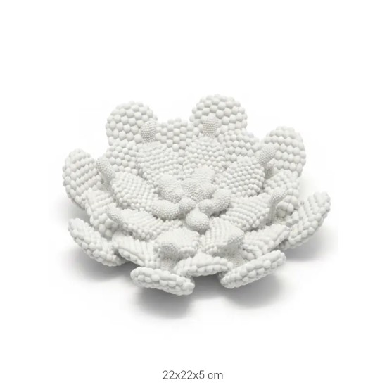 P128 Yana Sukulent Yaygan Tabak Ham Polyester Obje