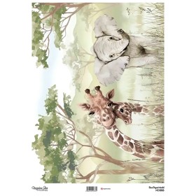 Model NG1368 NagehanAka Pirinç Dekopaj Kağıdı