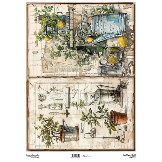 Model NG1372 NagehanAka Pirinç Dekopaj Kağıdı