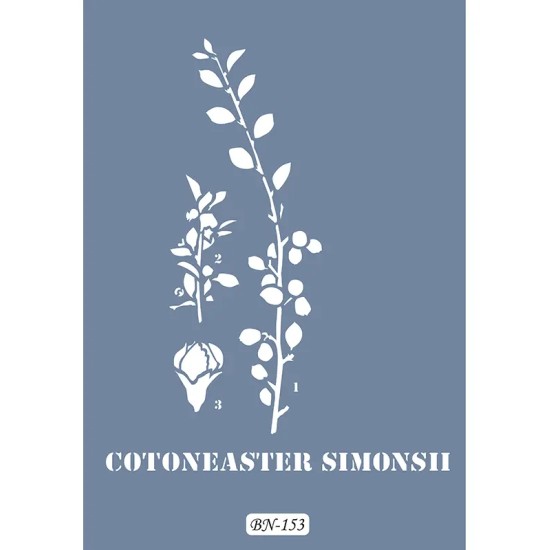 Bitki Model BN153 25x35 BN Serisi Stencil