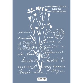 Flax Çiçek Model BN155 25x35 BN Serisi Stencil