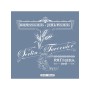 HDM19 Yazı Model Home Dekor 25x25 Stencil