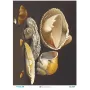 3979 Diamond Pirinç Dekopaj Kağıdı 30x42cm