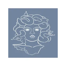EHAN08 Medusa Desen Stencil 45x45cm