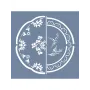EHBL13 Blue Blanc Tabak Desen Stencil 60x60cm