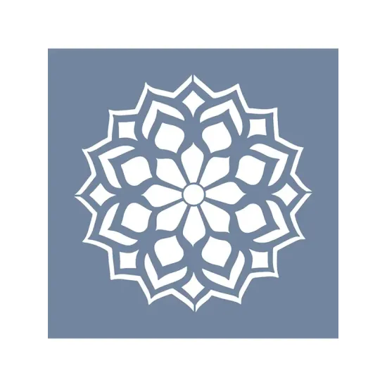 EHFY37 Fayans Desen Stencil 60x60cm
